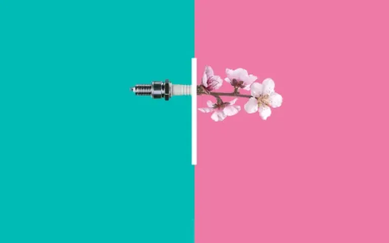 Jarní prohlídka za 499 Kč + dárek